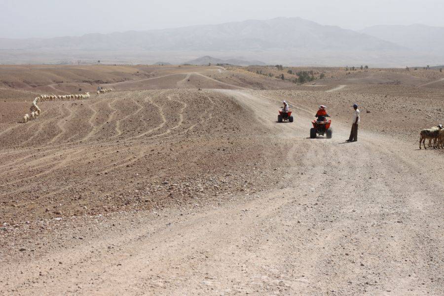 Quad in der Agafay Rocky Desert aus Marrakesch