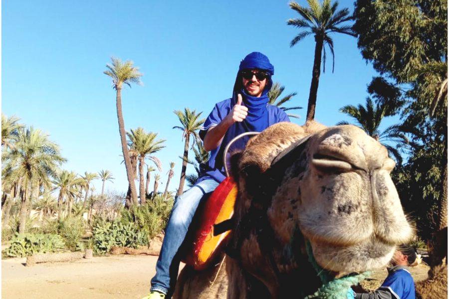 Majorelle Garden Mit einem Kamelritt in den Palmen