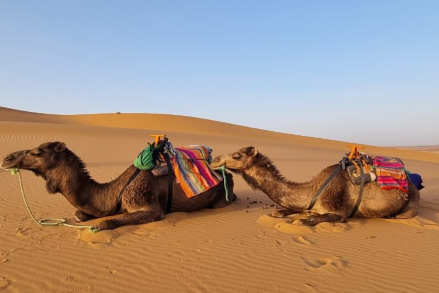 Merzouga 3 Tage Wüstenreise von Marrakesch nach Fez