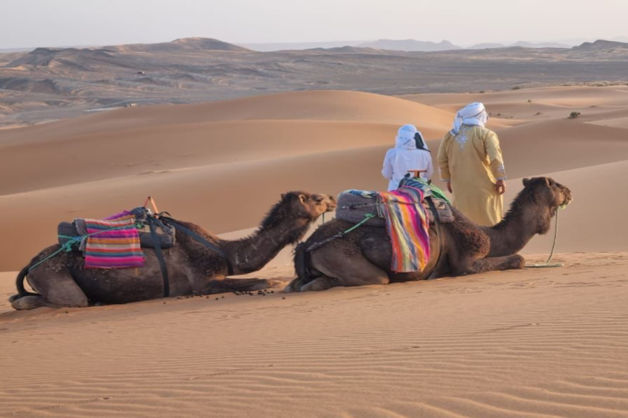 Merzouga 3 Tage Wüstenreise von Marrakesch nach Fez