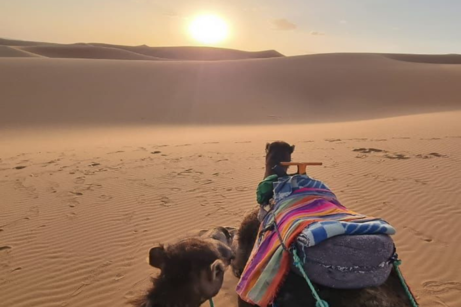 Merzouga 3 Tage Wüstenreise von Marrakesch nach Fez