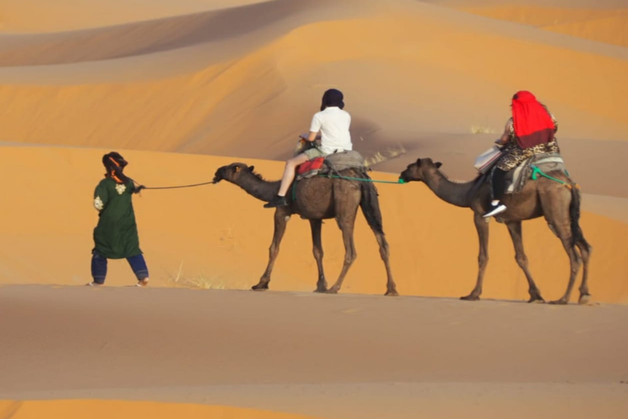 Merzouga 3 Tage Wüstenreise von Marrakesch nach Fez