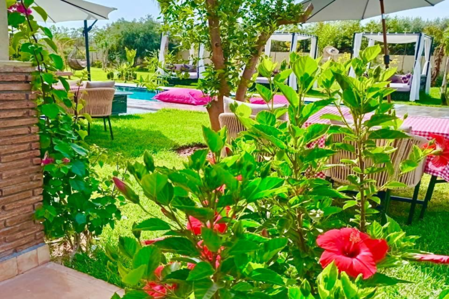 Marrakesch Tageskarte Pool inklusive Mittagessen und Shuttle - Entspannen