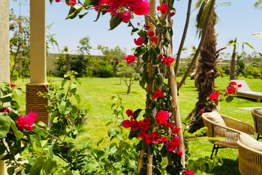 Marrakesch Tageskarte Pool inklusive Mittagessen und Shuttle - Entspannen