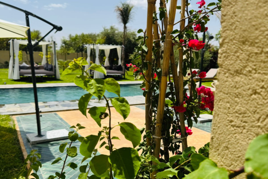 Marrakesch Tageskarte Pool inklusive Mittagessen und Shuttle - Entspannen