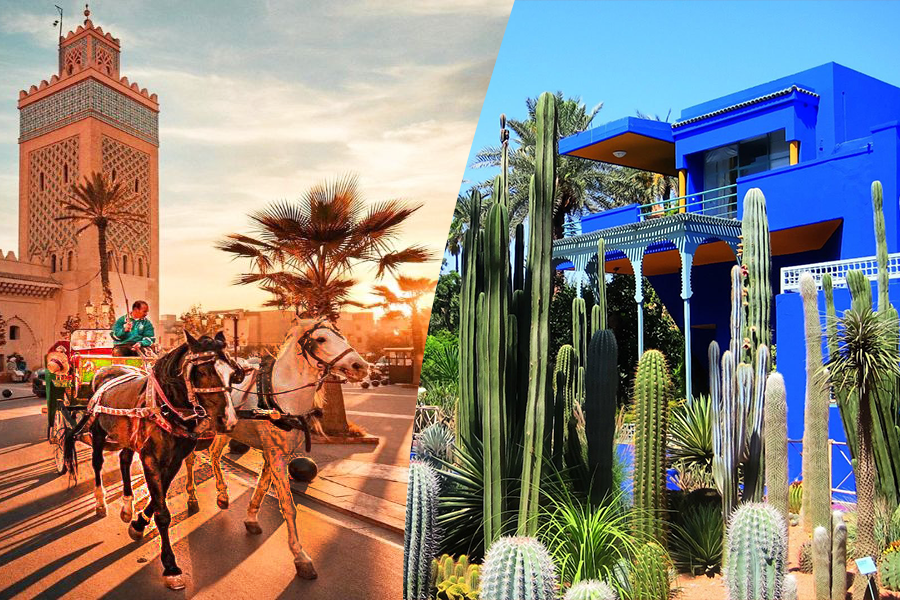 Eine schöne Tour mit Pferdekutsche und Besuch von Majorelle Garden