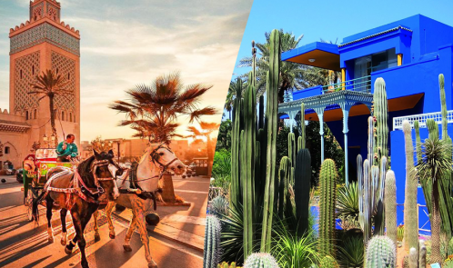 Eine schöne Tour mit Pferdekutsche und Besuch von Majorelle Garden
