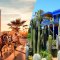 Eine schöne Tour mit Pferdekutsche und Besuch von Majorelle Garden