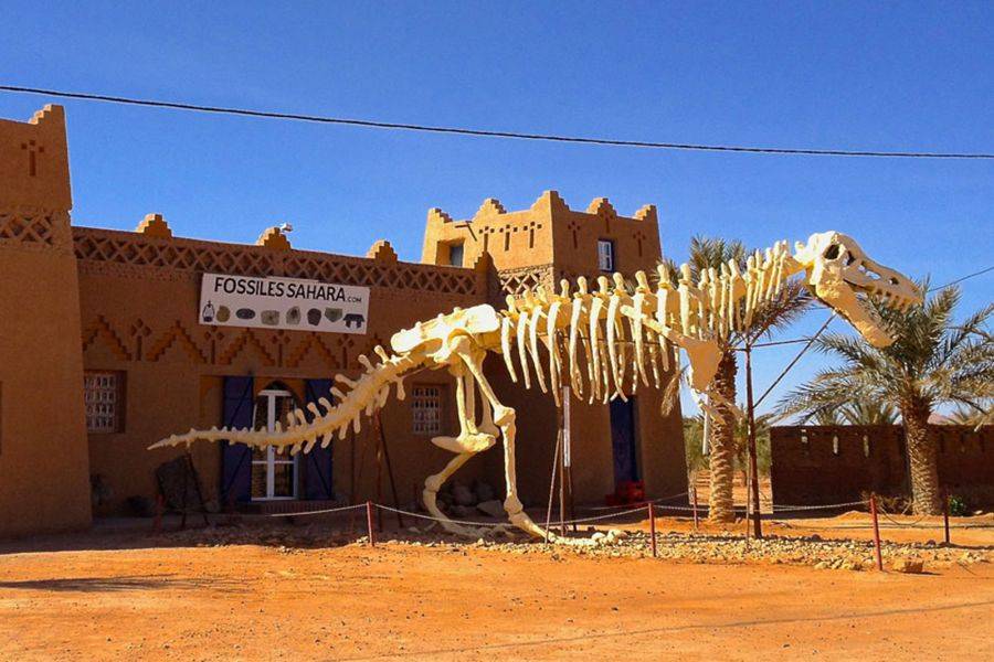 Fez 4 Tage Wüstentour nach Marrakesch