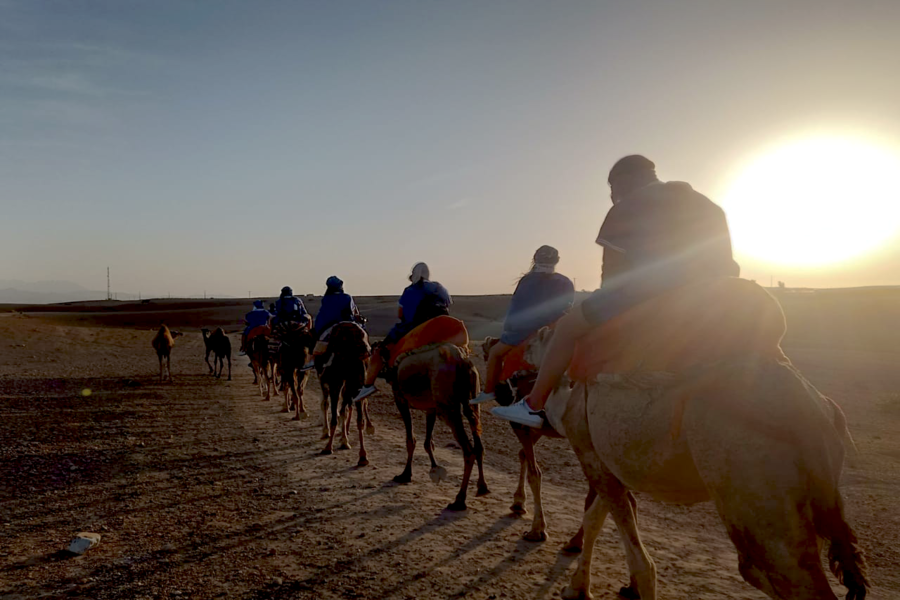 Quad, Camel Ride und Abendessen in der Felsenwüste von Agafay