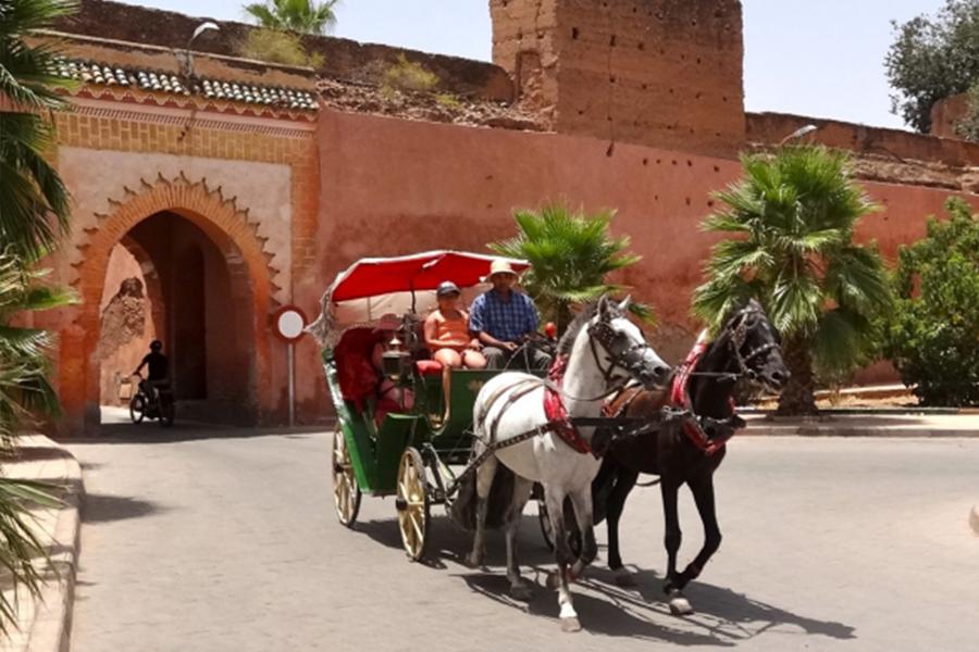 Eine schöne Tour mit Pferdekutsche und Besuch von Majorelle Garden