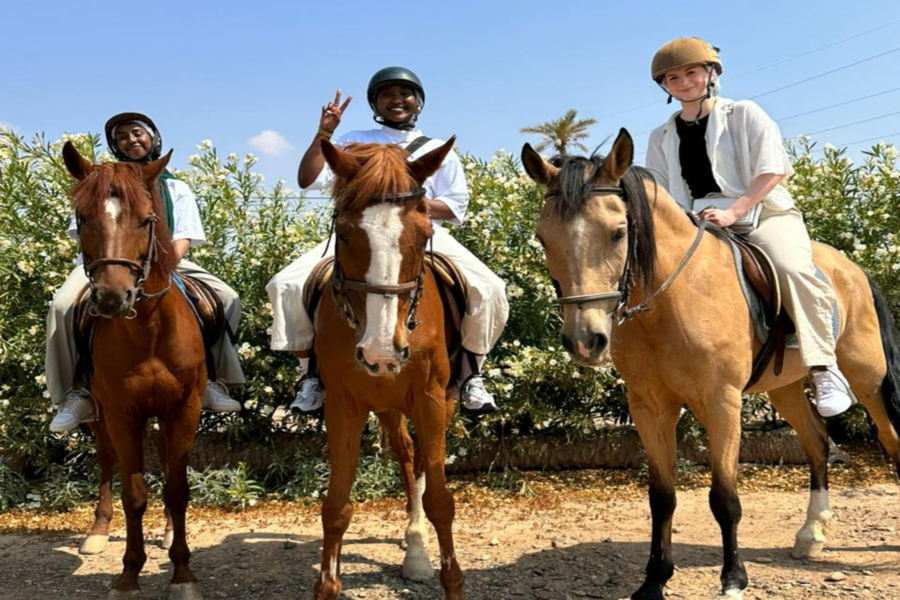 Reiten in Marrakesch Palmeraie
