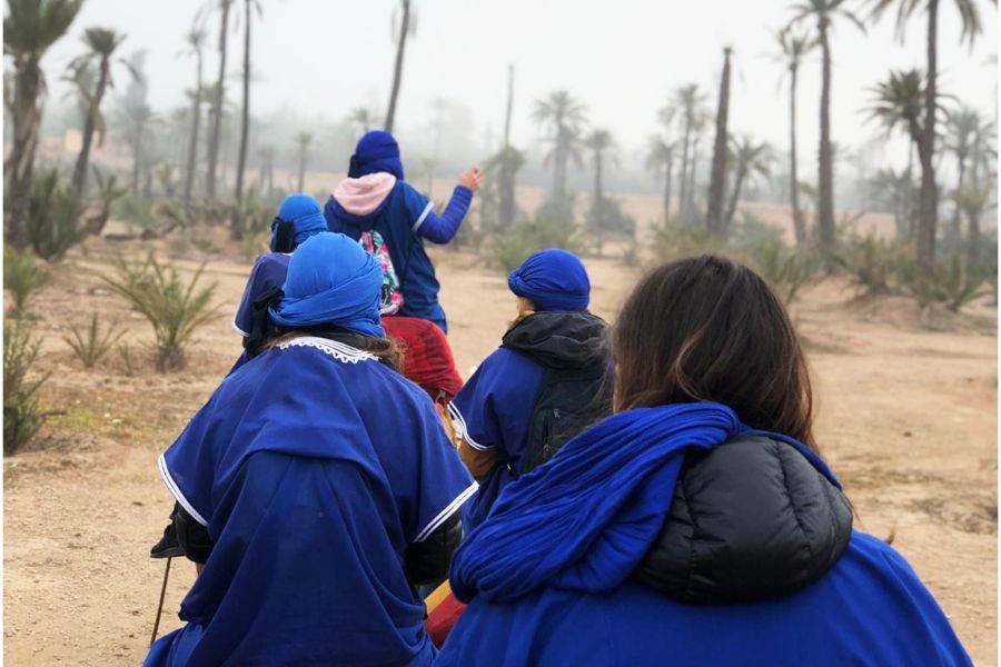 Kamelritt & Quad in Marrakesch Palmeraie