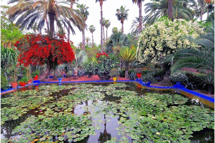 Majorelle Garden Mit einem Kamelritt in den Palmen