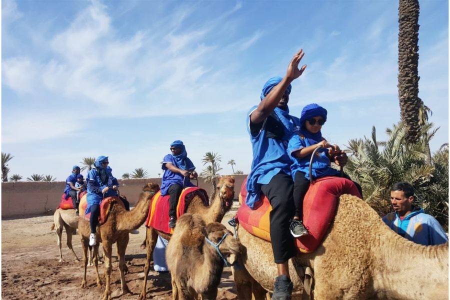 Kamelritt in der Palmeraie von Marrakesch