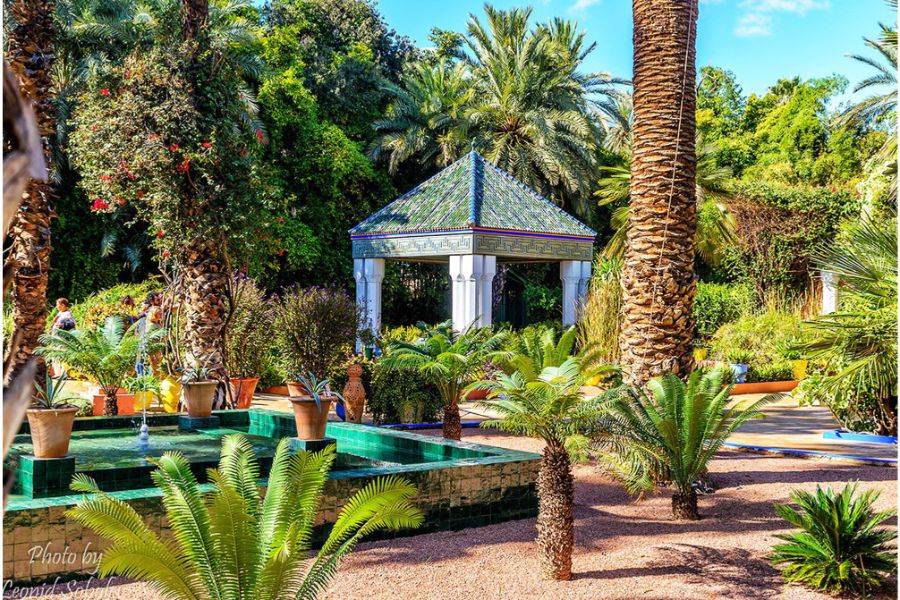 Majorelle Garden Mit einem Kamelritt in den Palmen