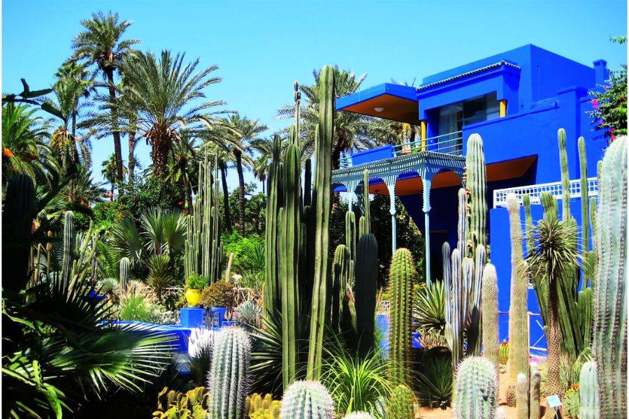 Majorelle Garden Mit einem Kamelritt in den Palmen