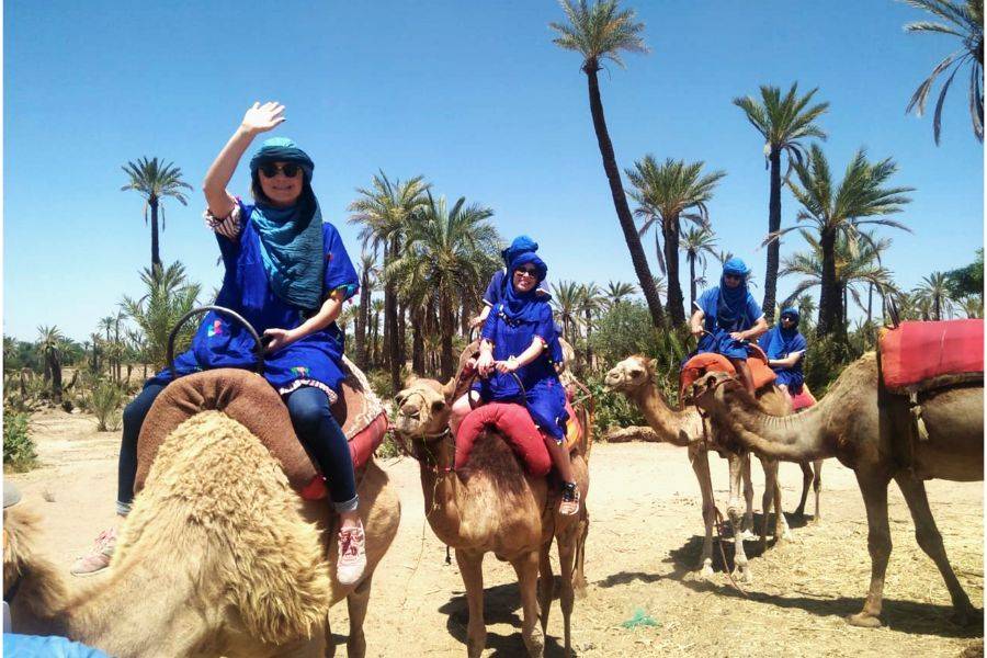Kamelritt in der Palmeraie von Marrakesch
