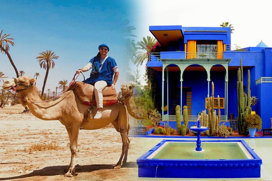 Majorelle Garden Mit einem Kamelritt in den Palmen