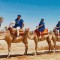 Kamelritt in der Palmeraie von Marrakesch