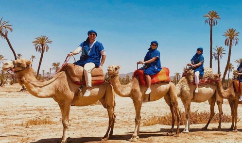 Kamelritt in der Palmeraie von Marrakesch