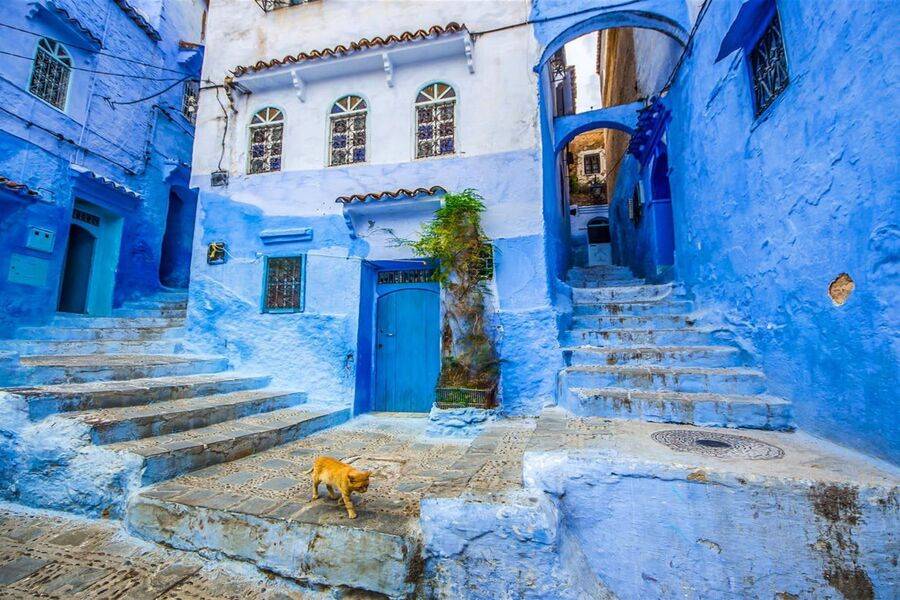 Reise 7 TAGE von Tanger und den Kaiserstädten nach Marrakesch